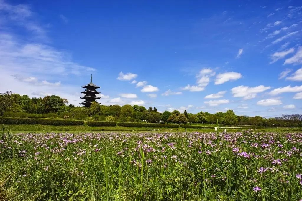 🏯 빗추 고쿠분지(비추코쿠분지) 이미지 4